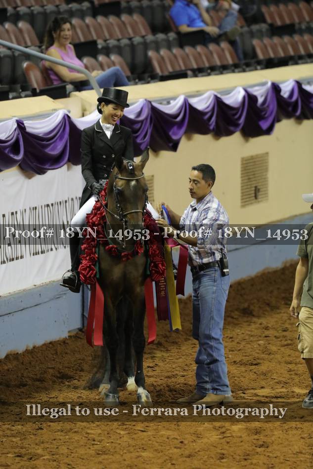 Proof 18YN_14953