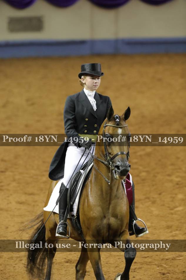Proof 18YN_14959