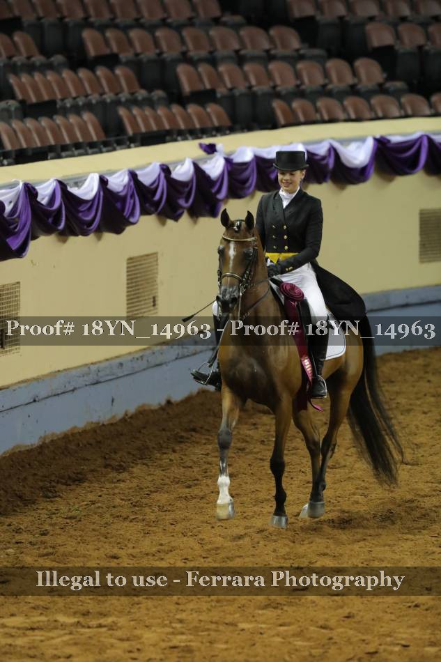 Proof 18YN_14963