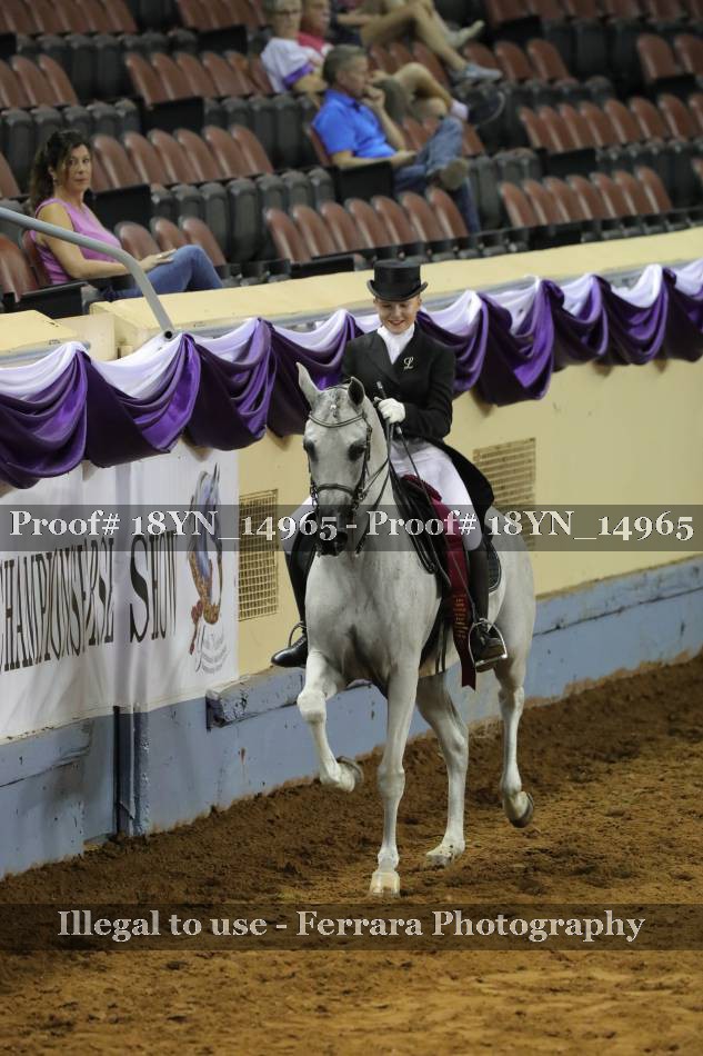 Proof 18YN_14965