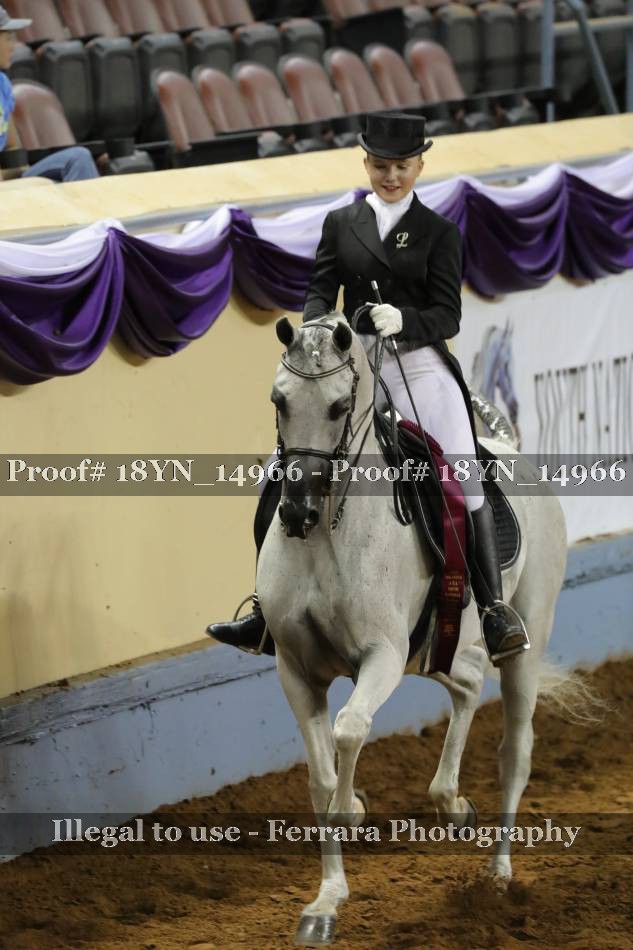 Proof 18YN_14966