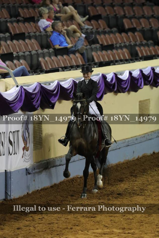 Proof 18YN_14979