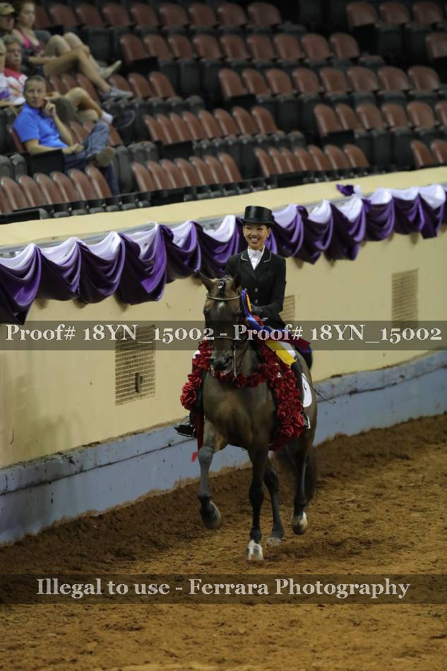 Proof 18YN_15002