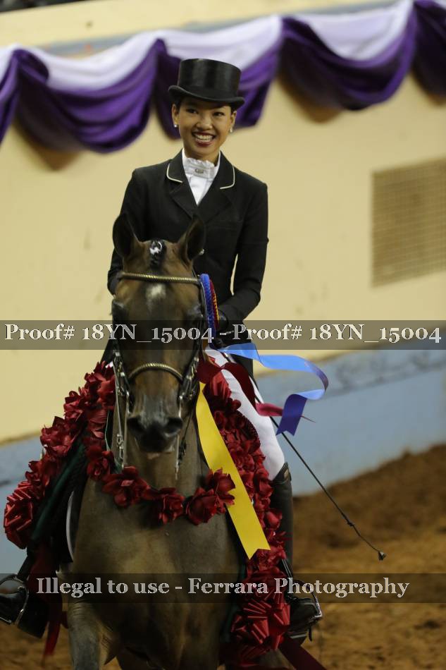 Proof 18YN_15004