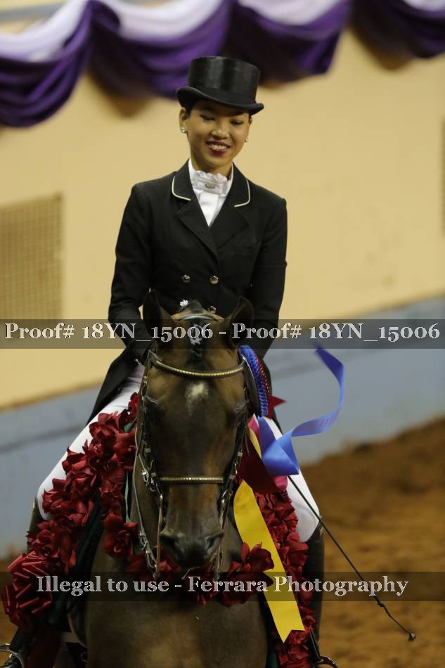 Proof 18YN_15006
