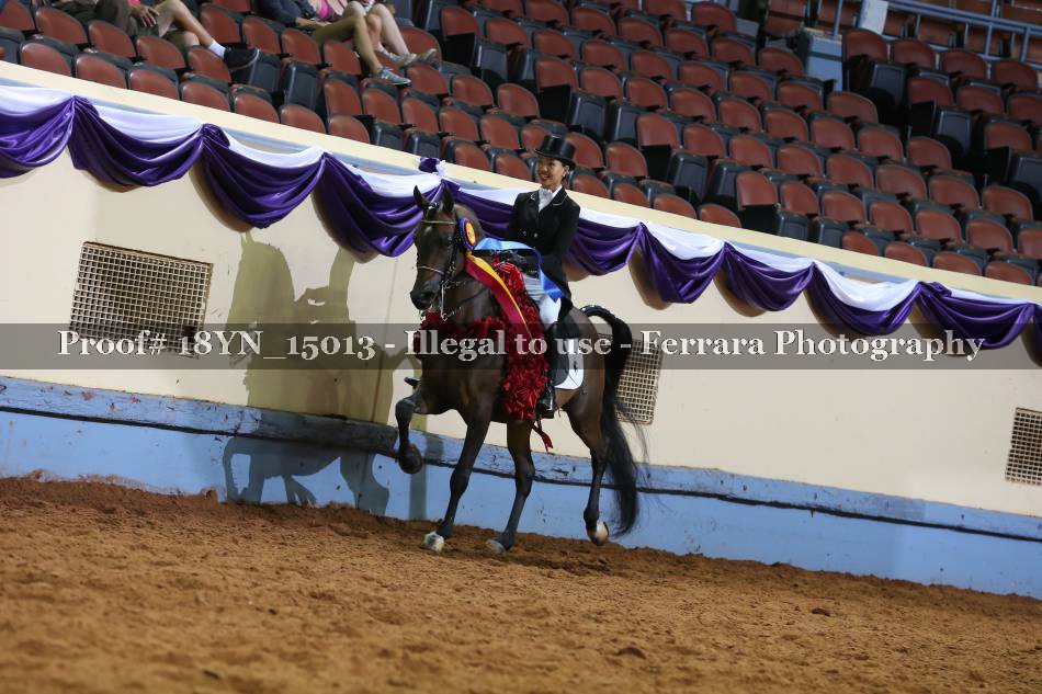 Proof 18YN_15013