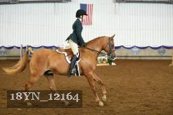 18YN_12164 proof