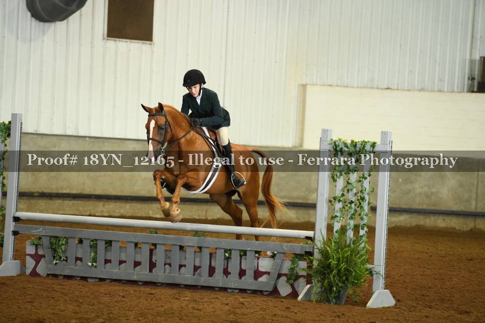 Proof 18YN_12165