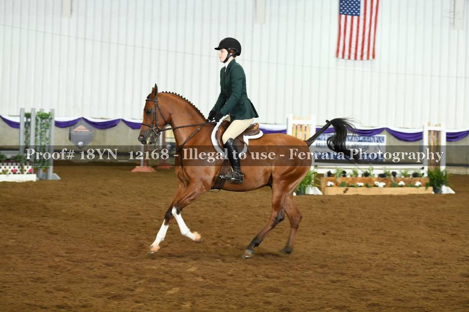 Proof 18YN_12168