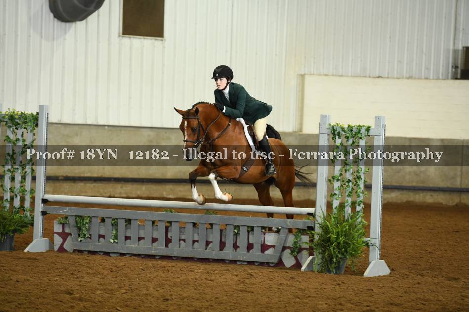Proof 18YN_12182