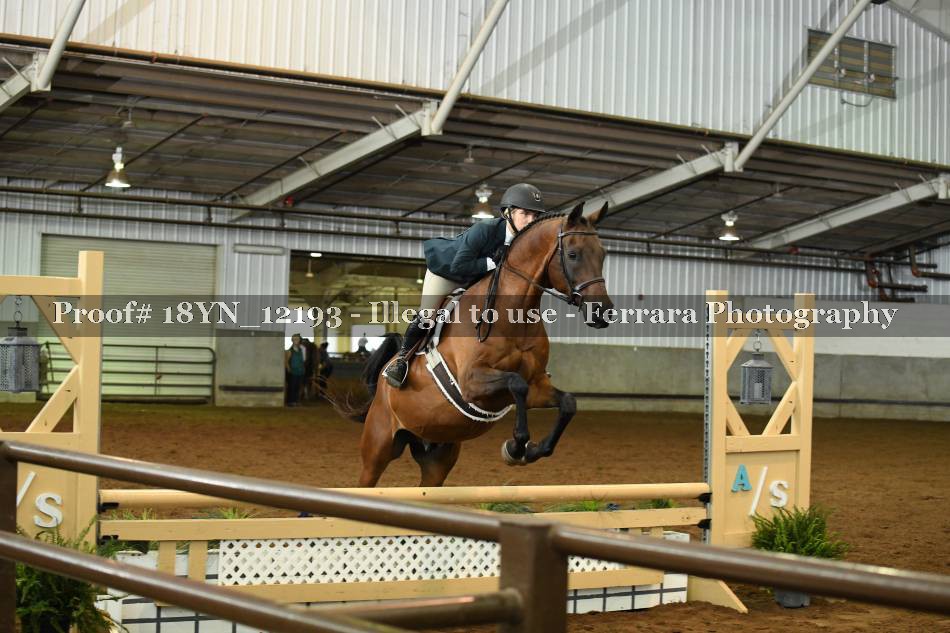 Proof 18YN_12193