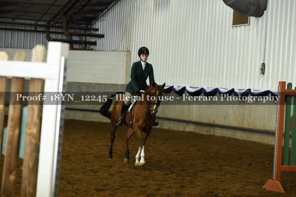Proof 18YN_12245