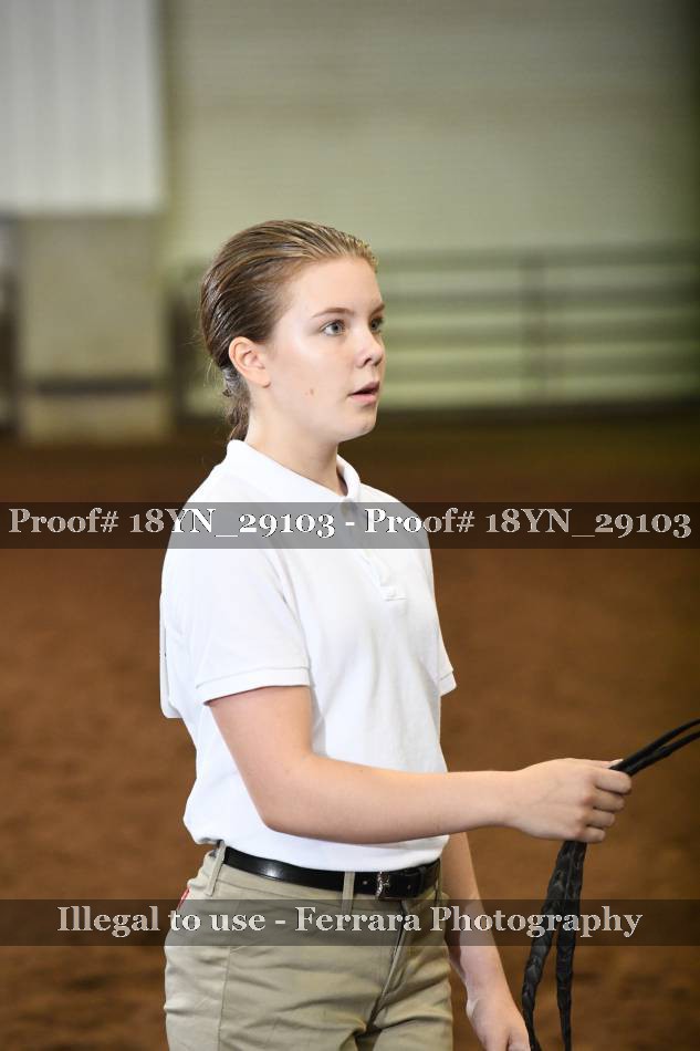 Proof 18YN_29103