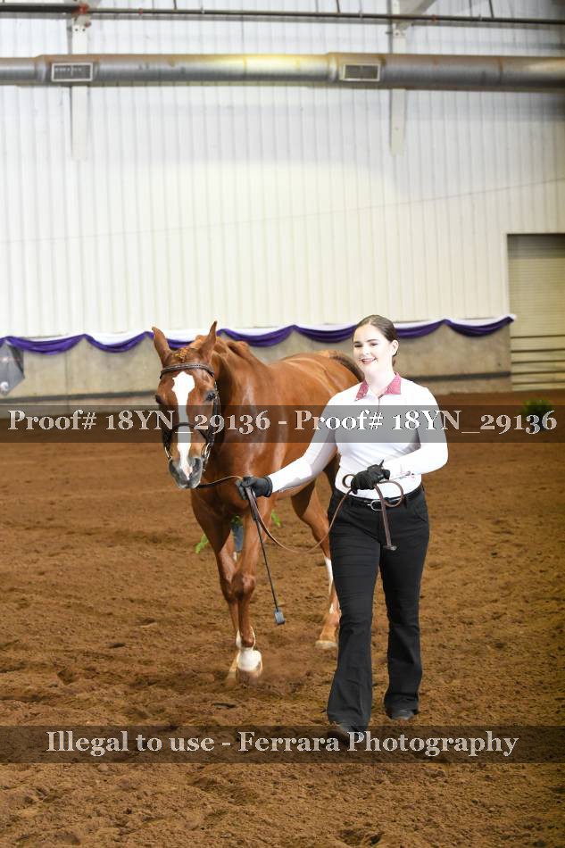 Proof 18YN_29136