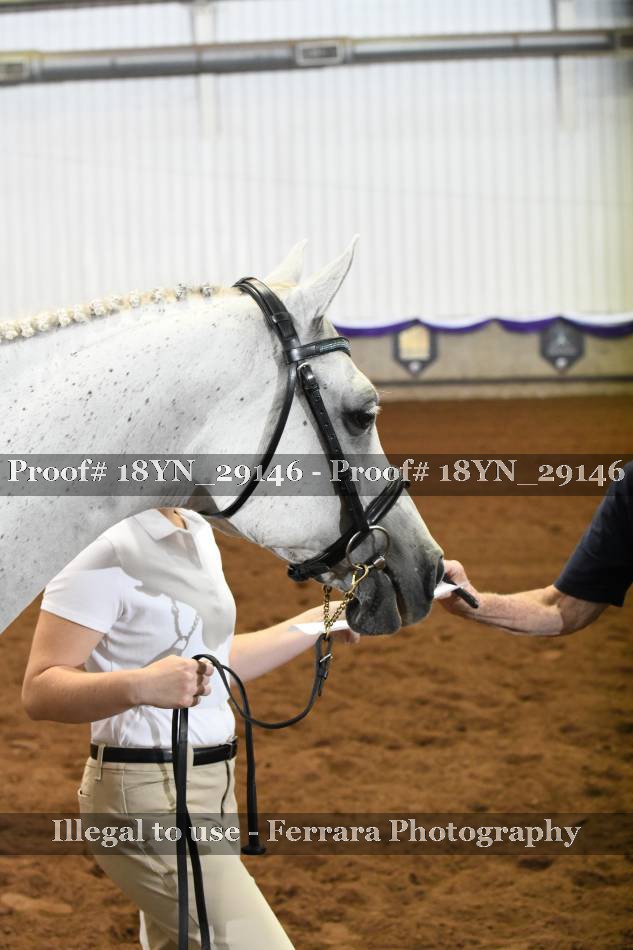 Proof 18YN_29146