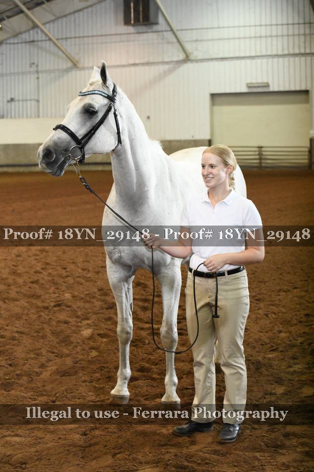 Proof 18YN_29148