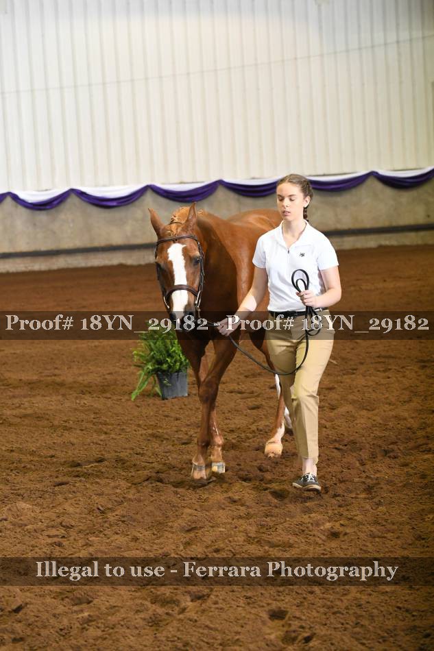 Proof 18YN_29182