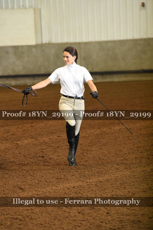 Proof 18YN_29199