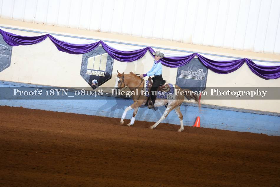 Proof 18YN_08048