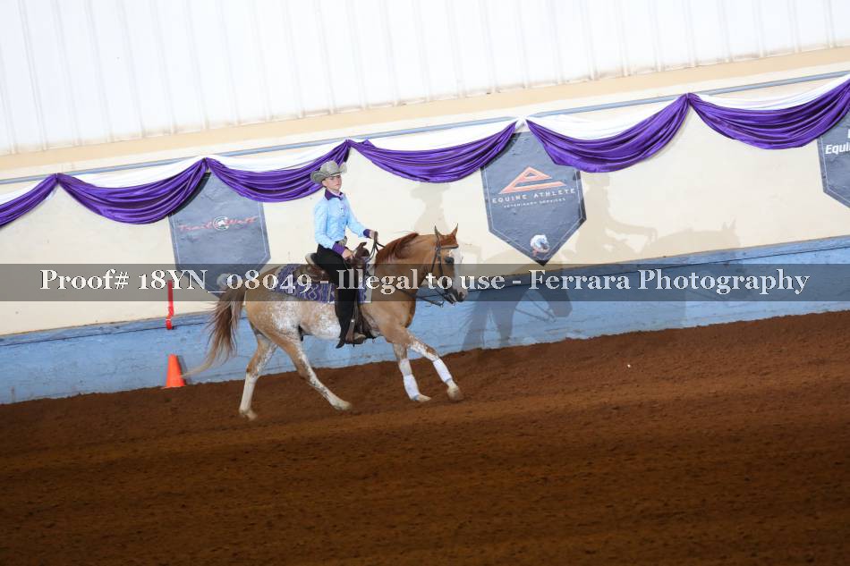 Proof 18YN_08049