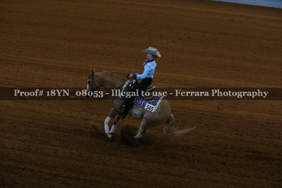 Proof 18YN_08053