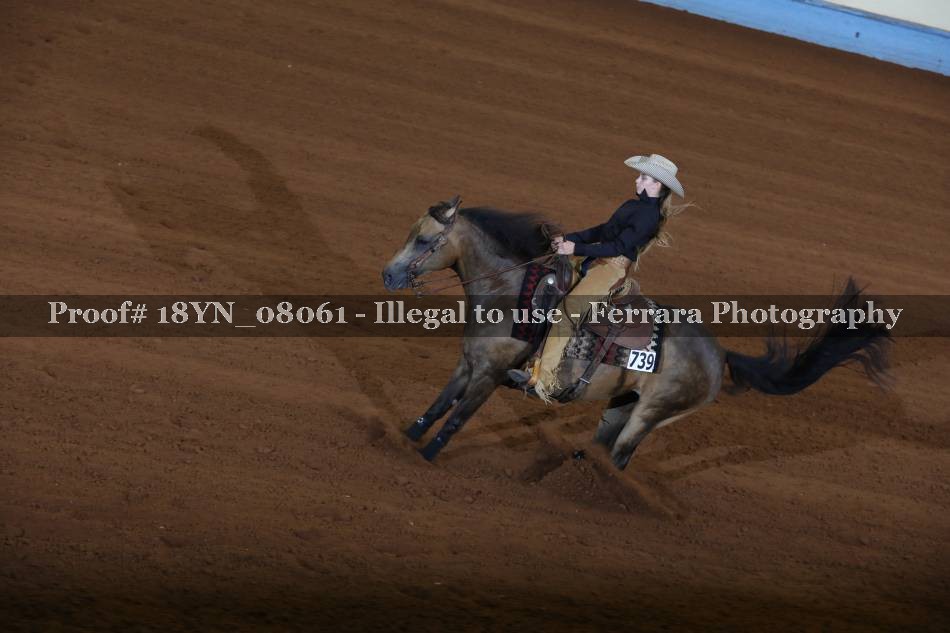 Proof 18YN_08061