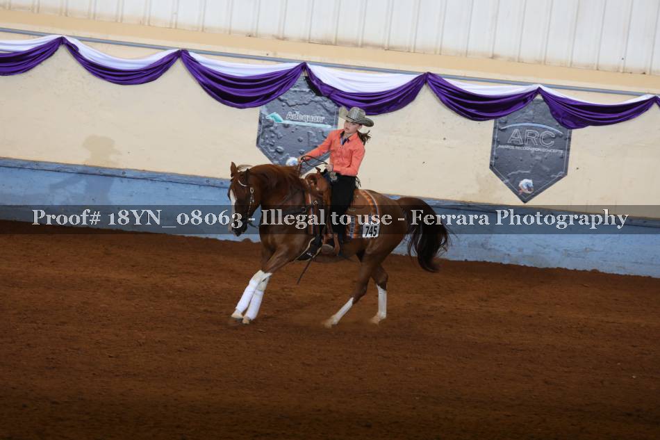 Proof 18YN_08063