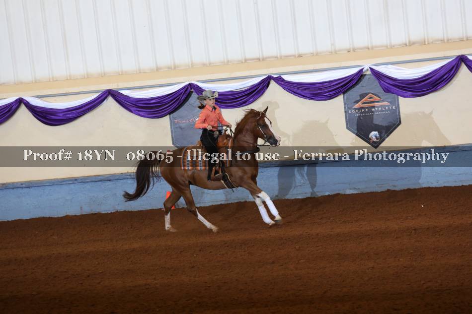 Proof 18YN_08065