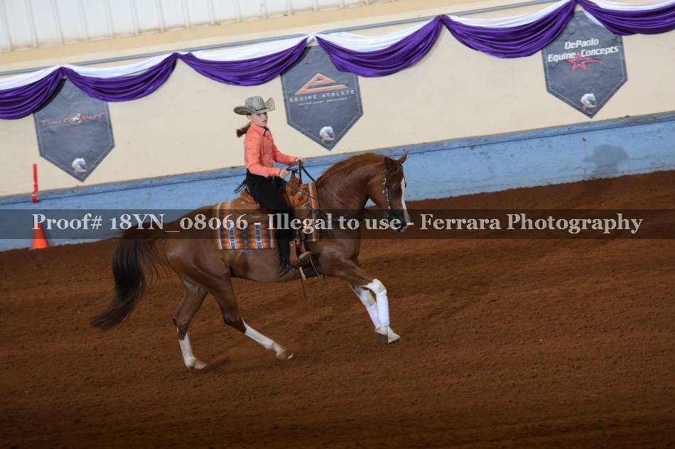 Proof 18YN_08066