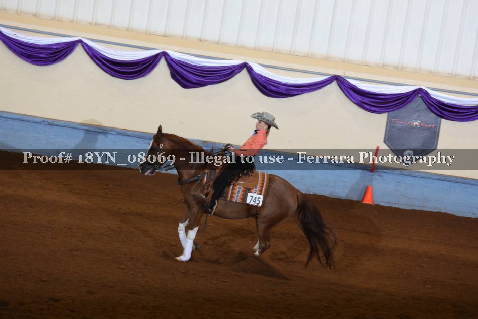 Proof 18YN_08069
