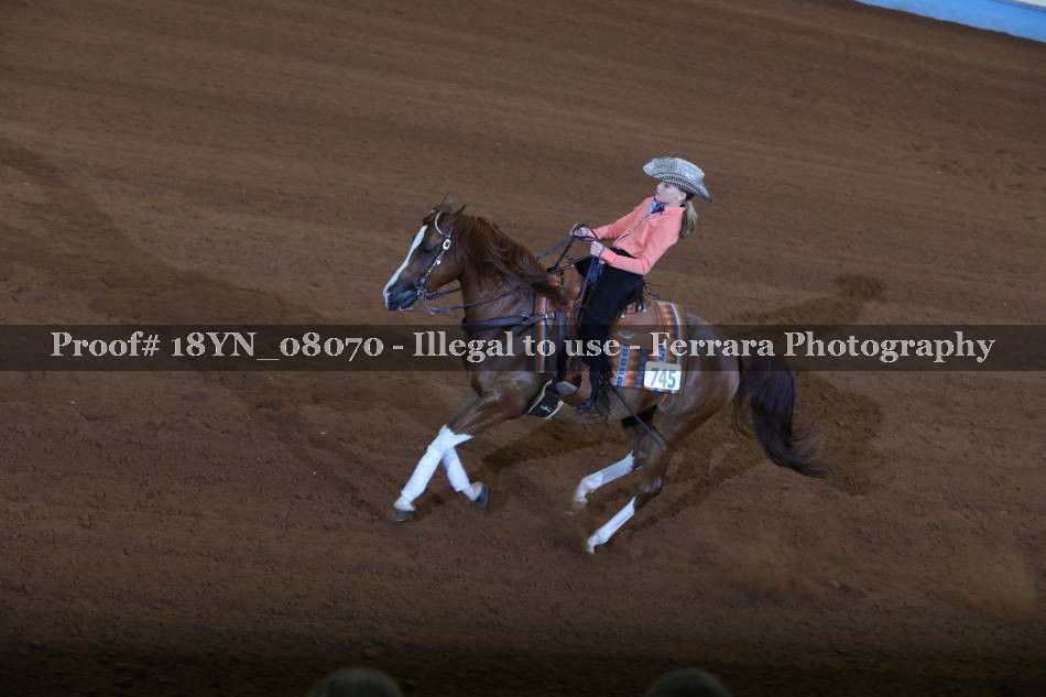 Proof 18YN_08070