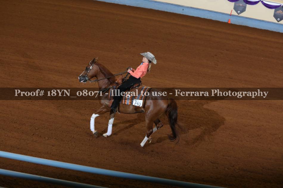Proof 18YN_08071