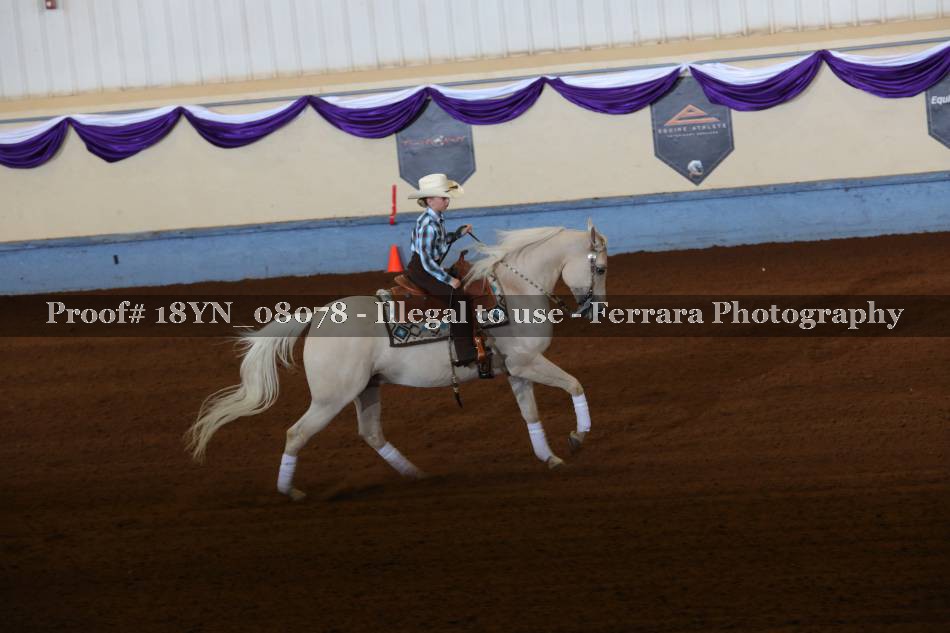 Proof 18YN_08078