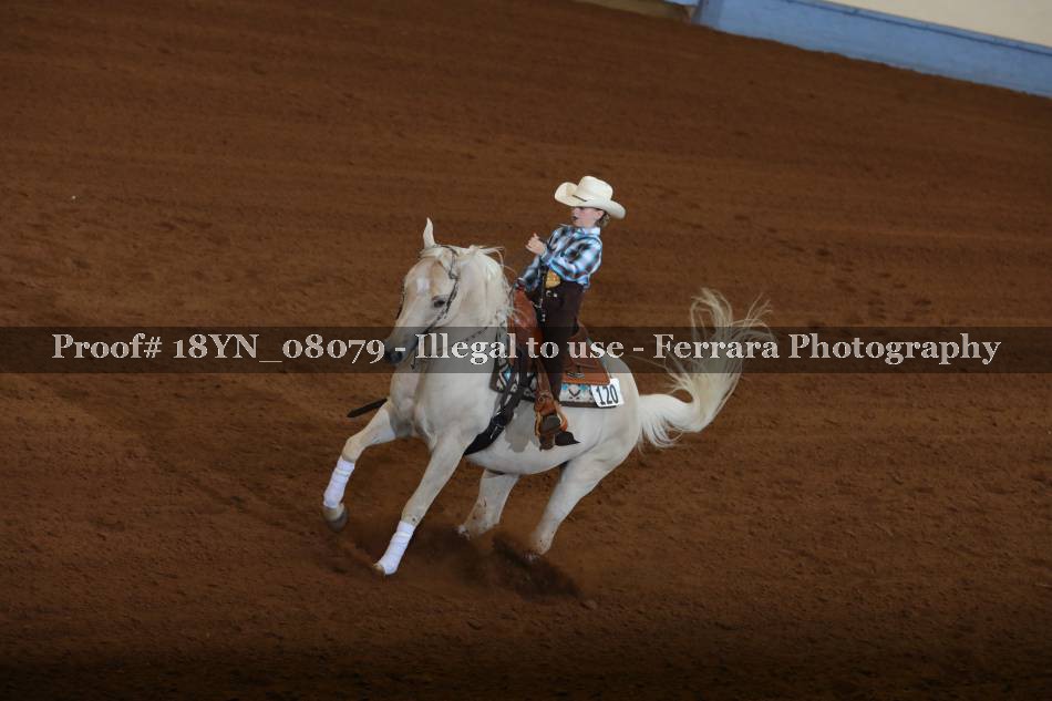 Proof 18YN_08079