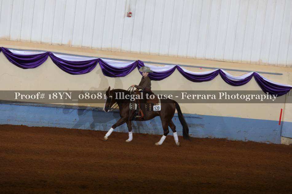Proof 18YN_08081
