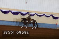 18YN_08081 proof