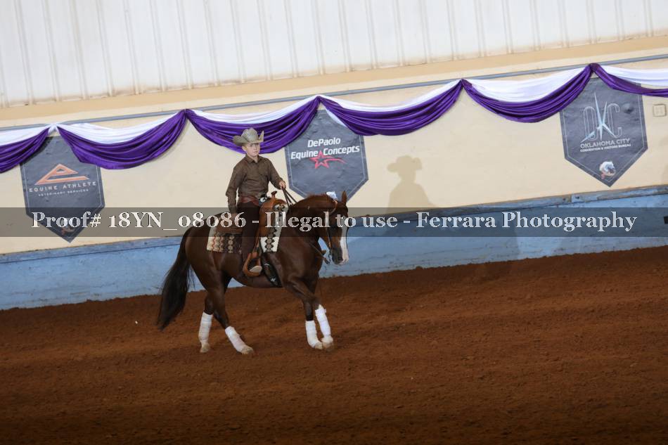 Proof 18YN_08086