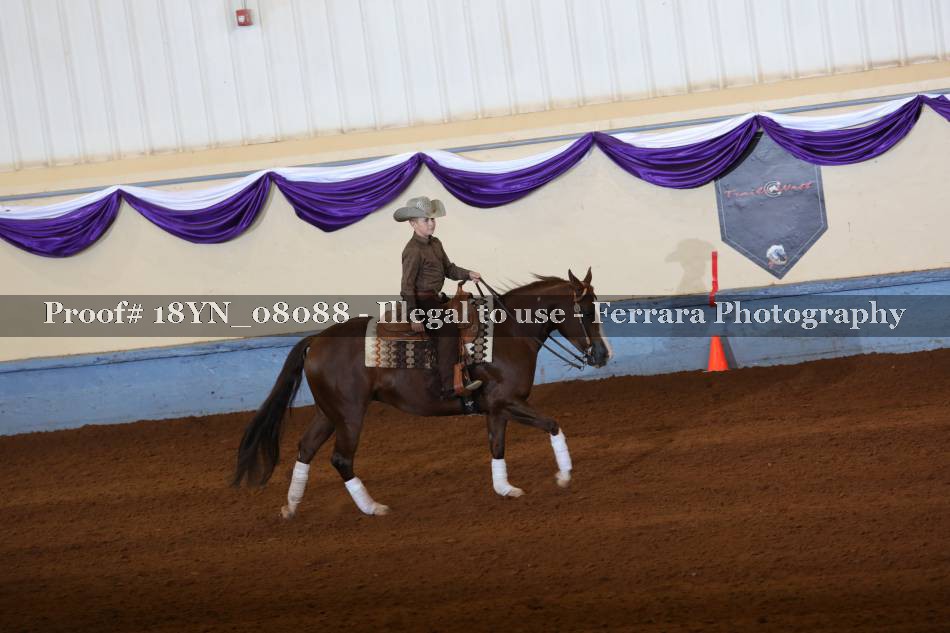 Proof 18YN_08088