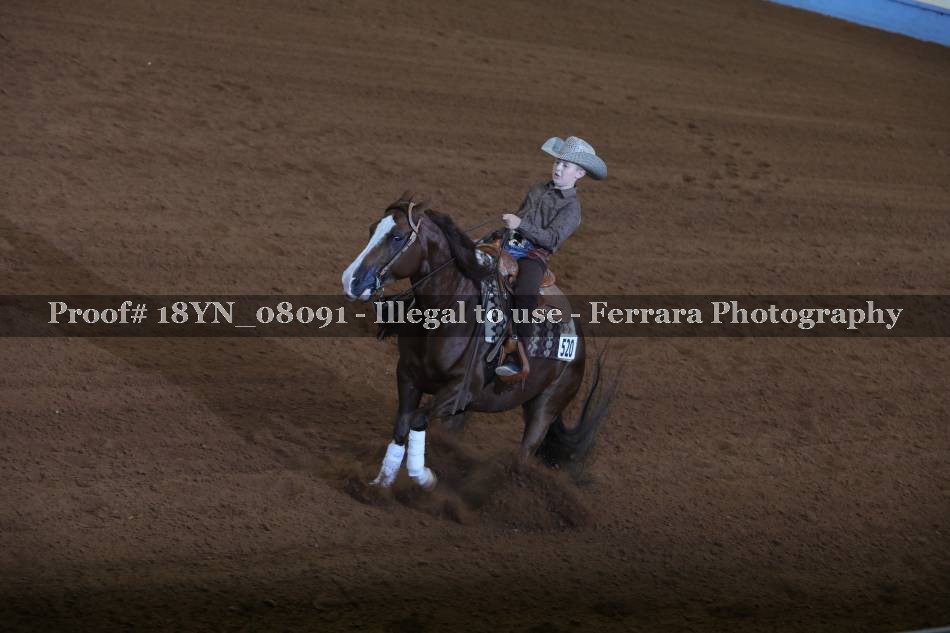 Proof 18YN_08091