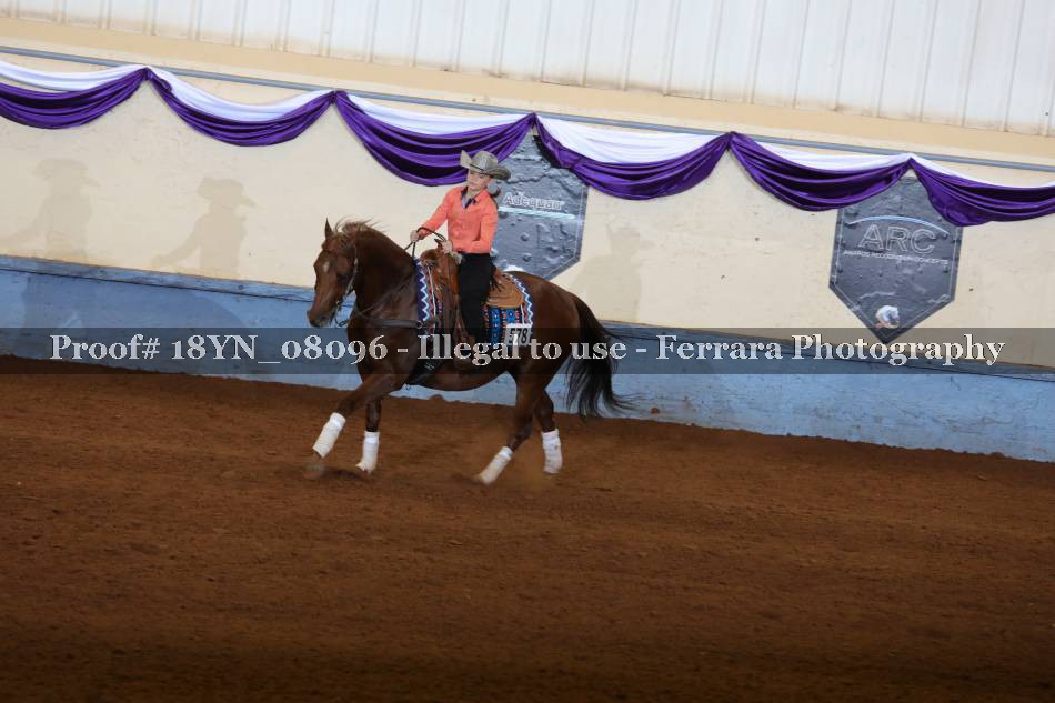 Proof 18YN_08096