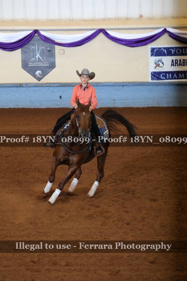 Proof 18YN_08099
