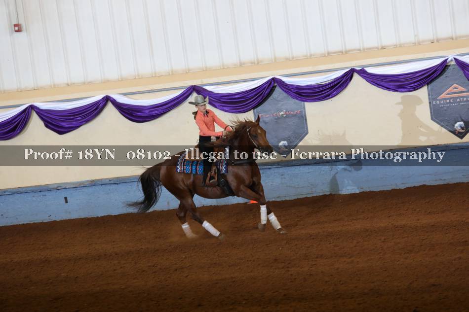 Proof 18YN_08102