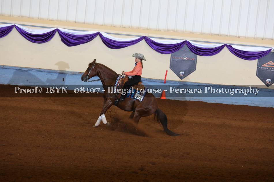 Proof 18YN_08107