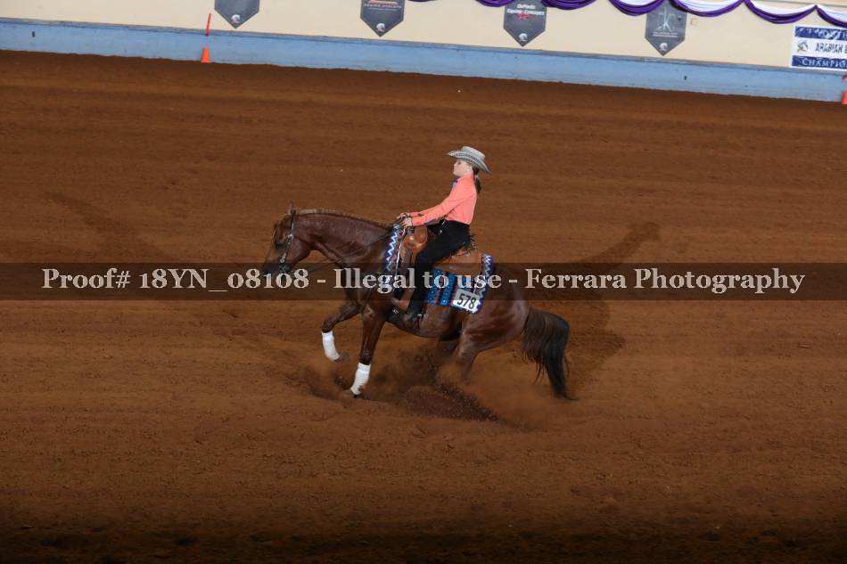 Proof 18YN_08108