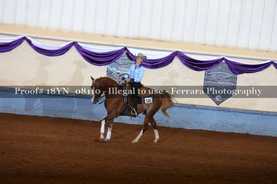 Proof 18YN_08110