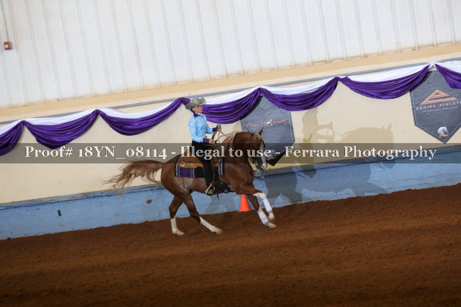 Proof 18YN_08114