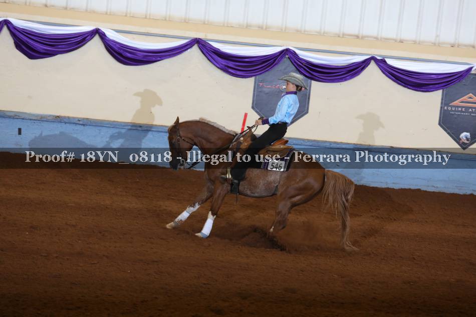 Proof 18YN_08118