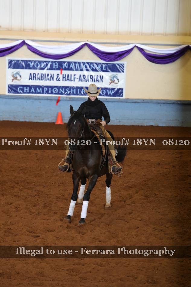 Proof 18YN_08120