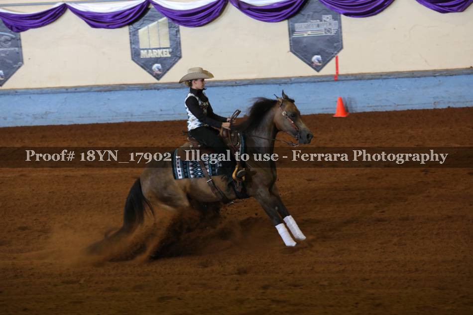 Proof 18YN_17902