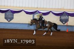 18YN_17903 proof
